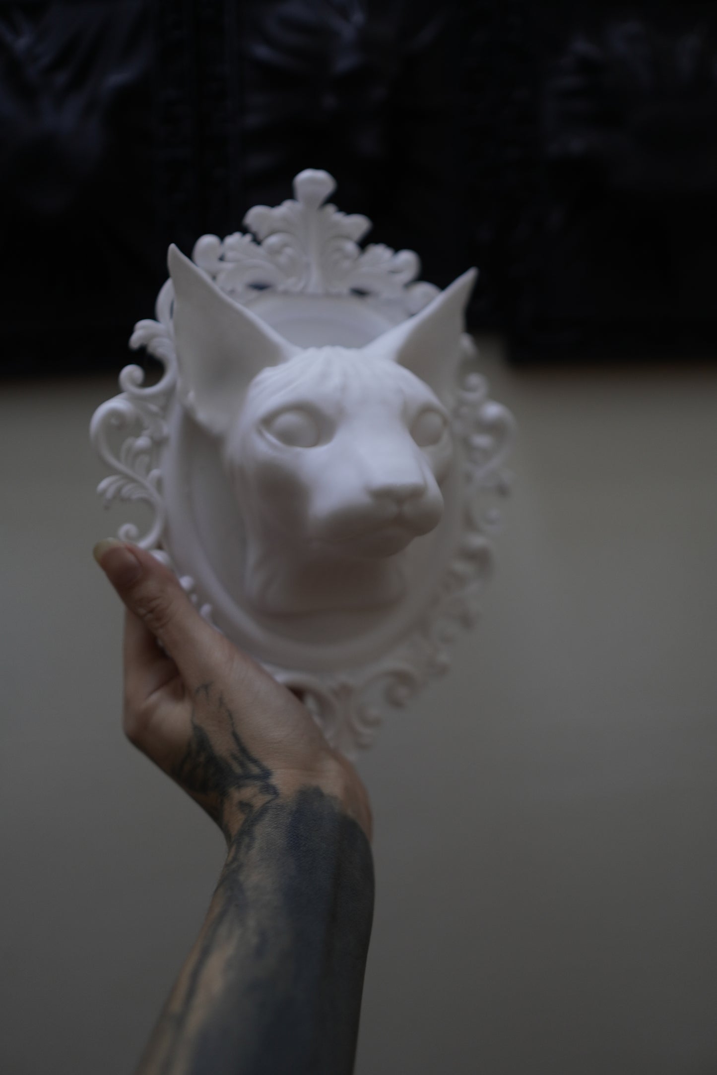 White Sphynx