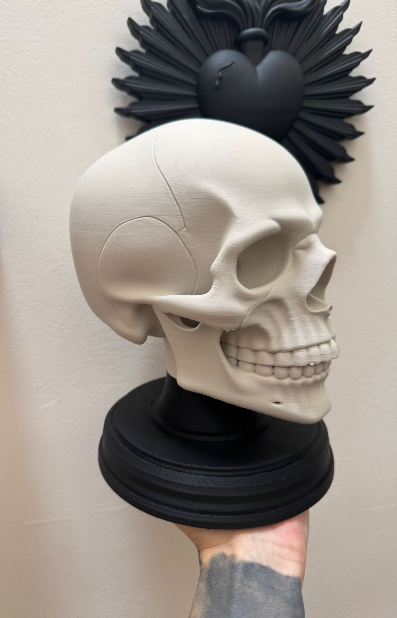 Anatomical Skull Sculpture – Gothic Human Skull Decor on Black Base for Dark Interiors and Curiosity Displays