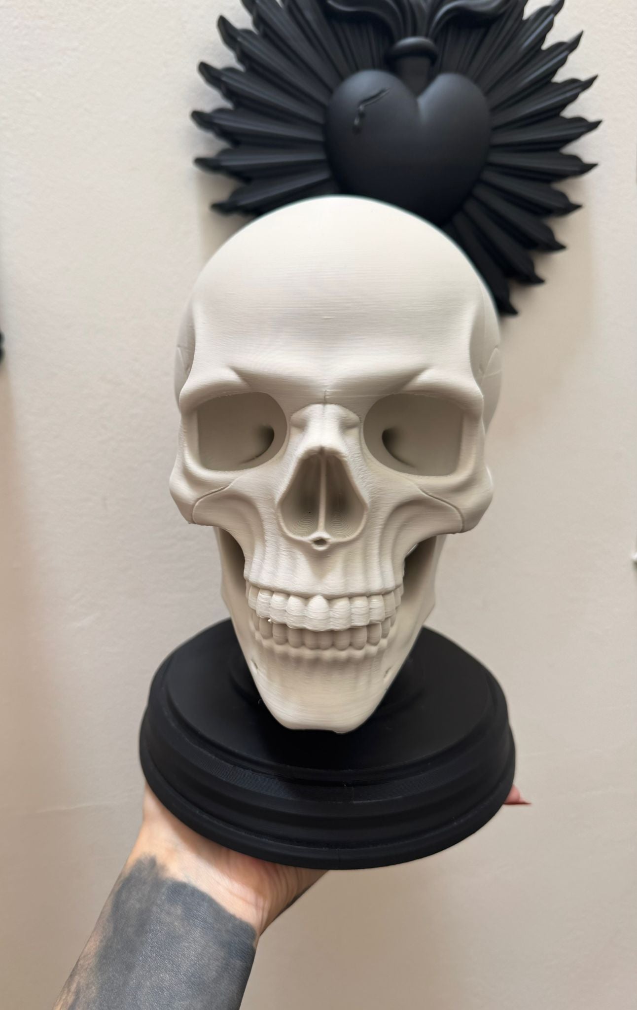 Anatomical Skull Sculpture – Gothic Human Skull Decor on Black Base for Dark Interiors and Curiosity Displays