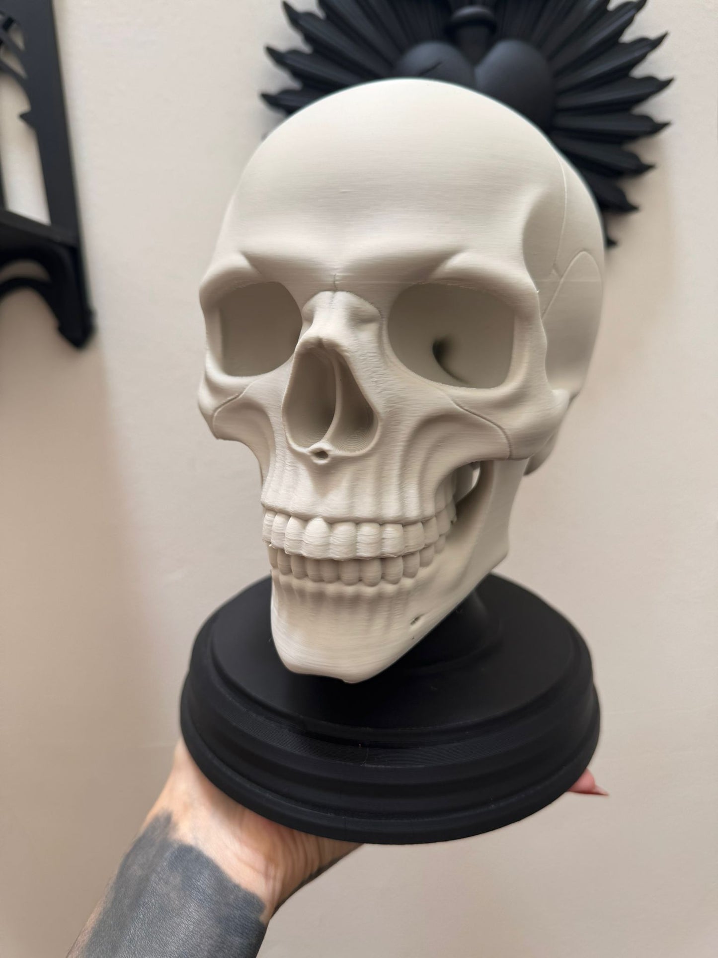 Anatomical Skull Sculpture – Gothic Human Skull Decor on Black Base for Dark Interiors and Curiosity Displays
