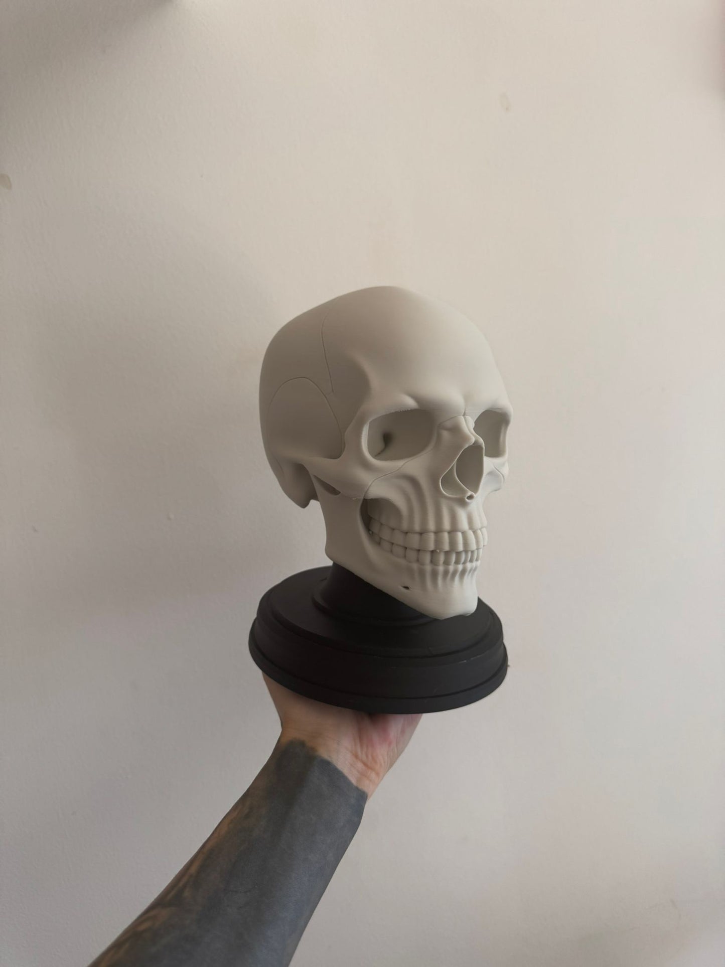 Anatomical Skull Sculpture – Gothic Human Skull Decor on Black Base for Dark Interiors and Curiosity Displays