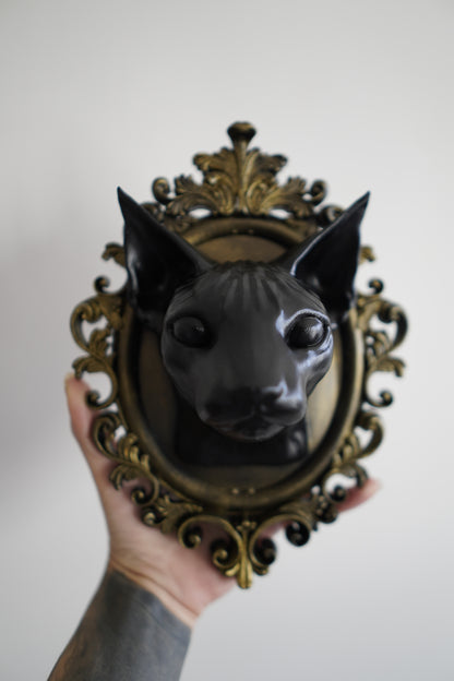 Sphynx cat frame