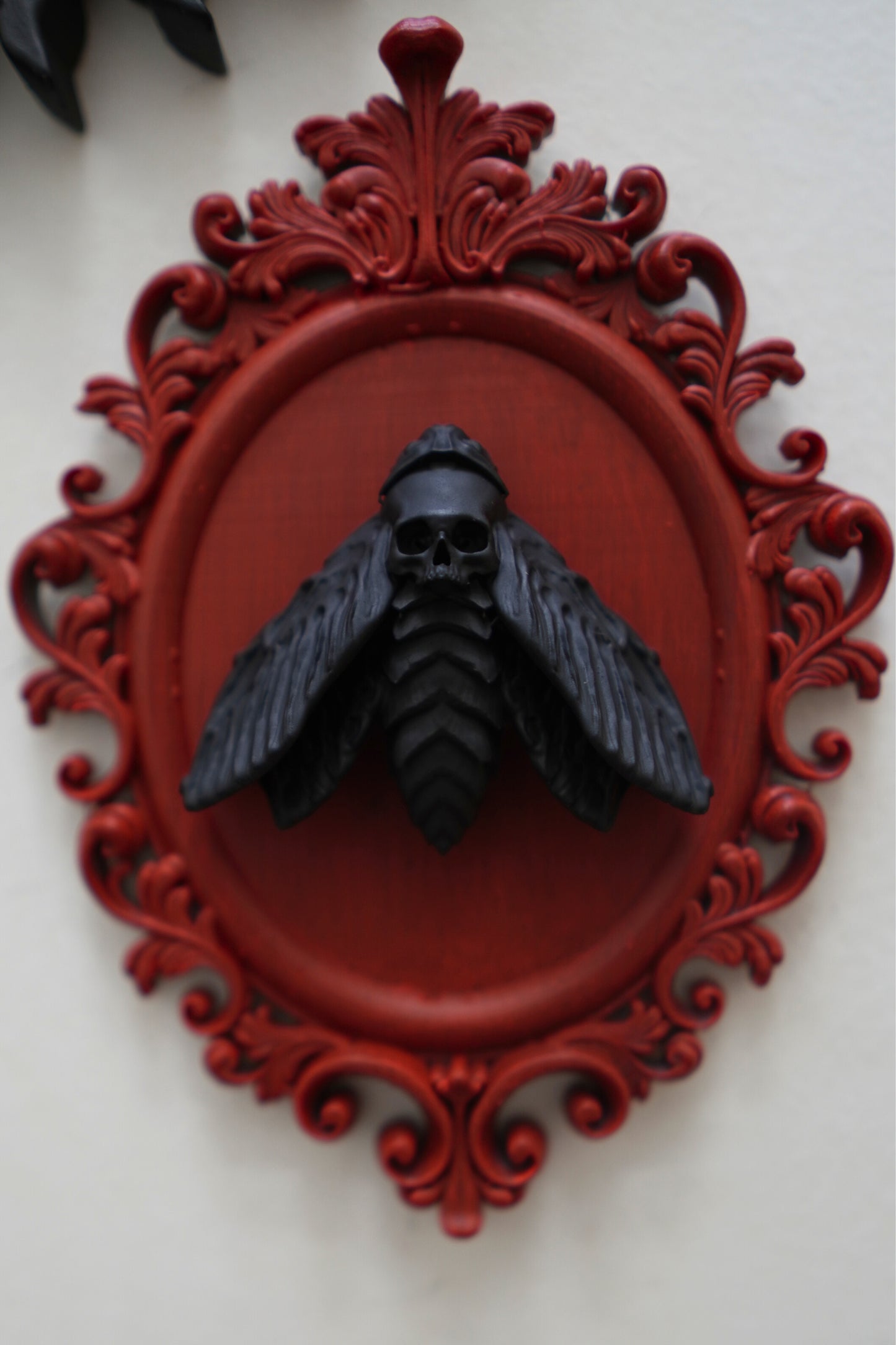 Bloody Death Moth