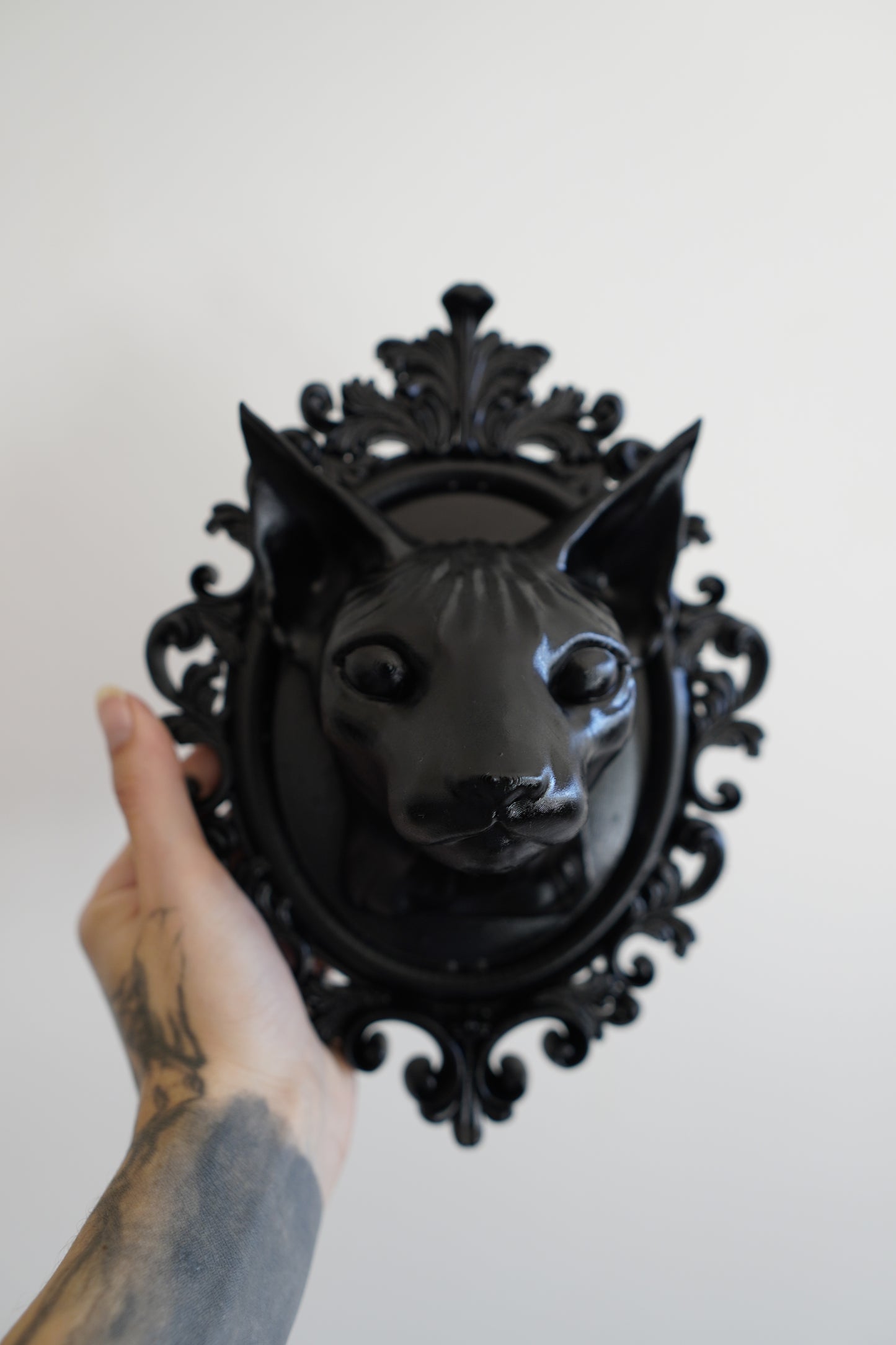 Sphynx cat frame