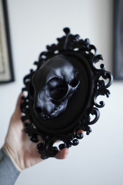 Cat Skull in Frame