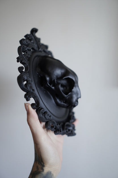 Cat Skull in Frame