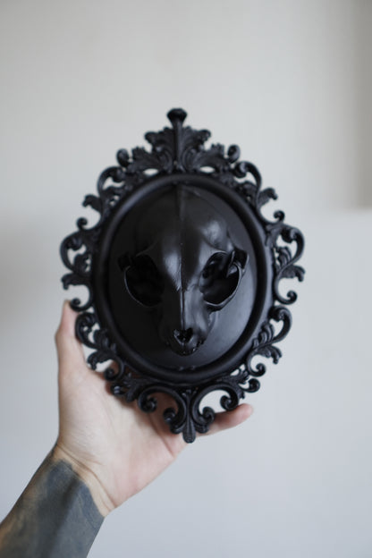 Cat Skull in Frame