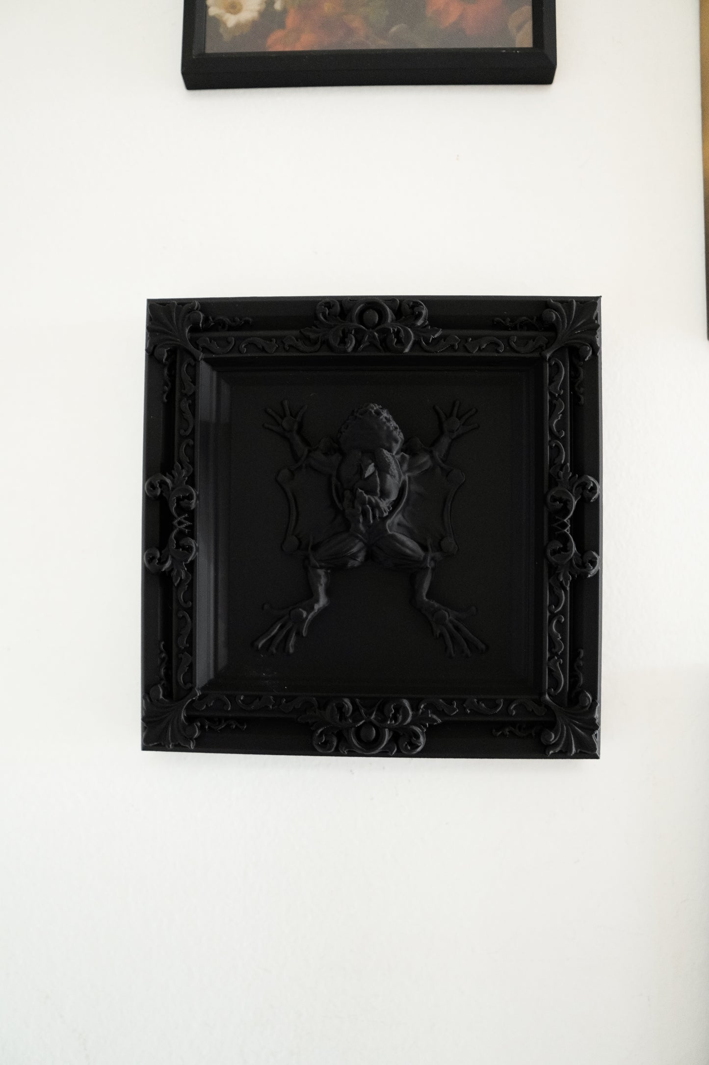 Elegant Black Dissected Frog Frame