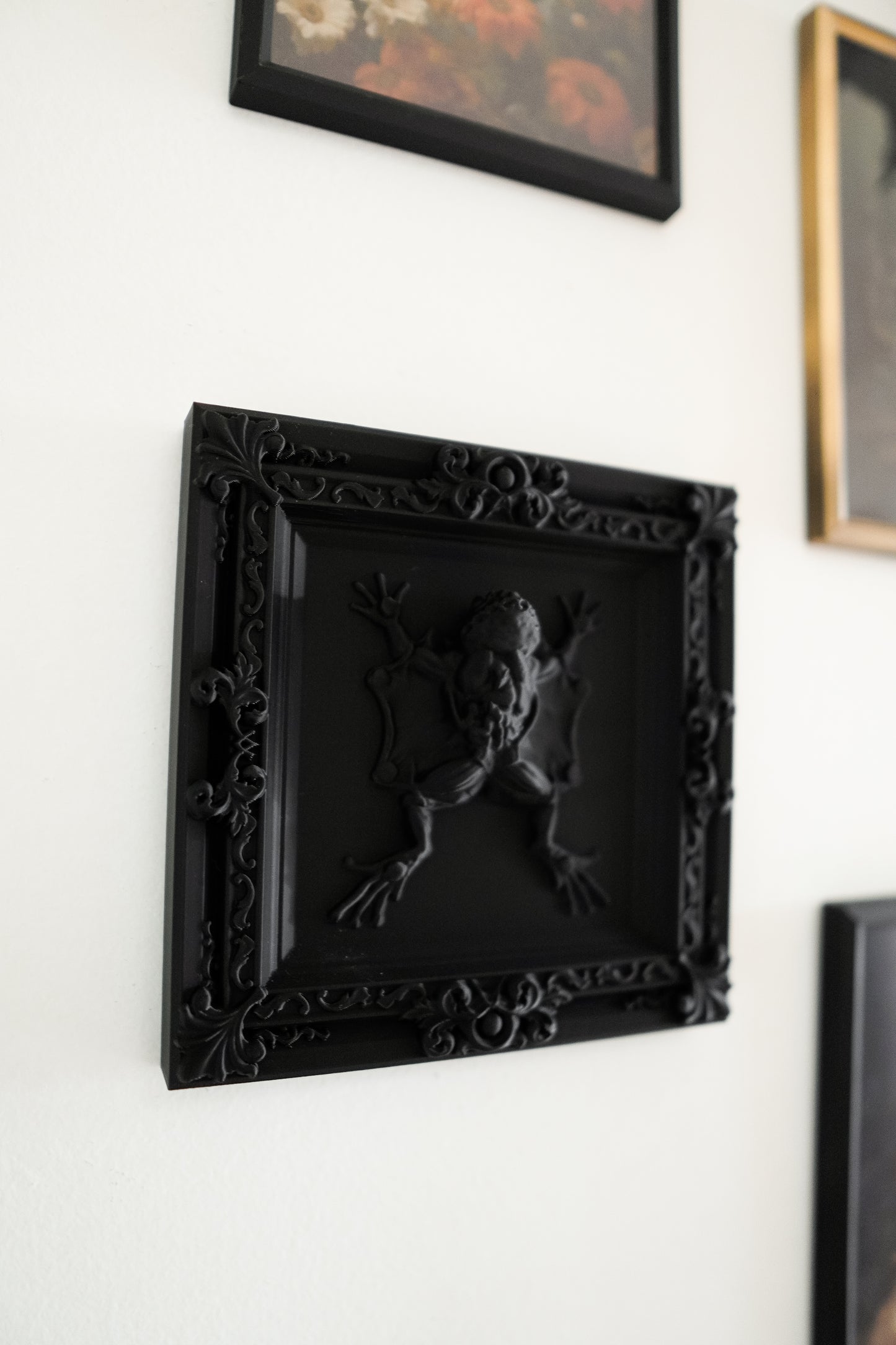 Elegant Black Dissected Frog Frame