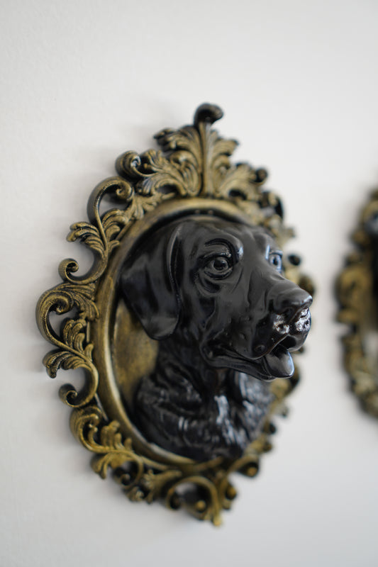 Labrador Retriever Frame