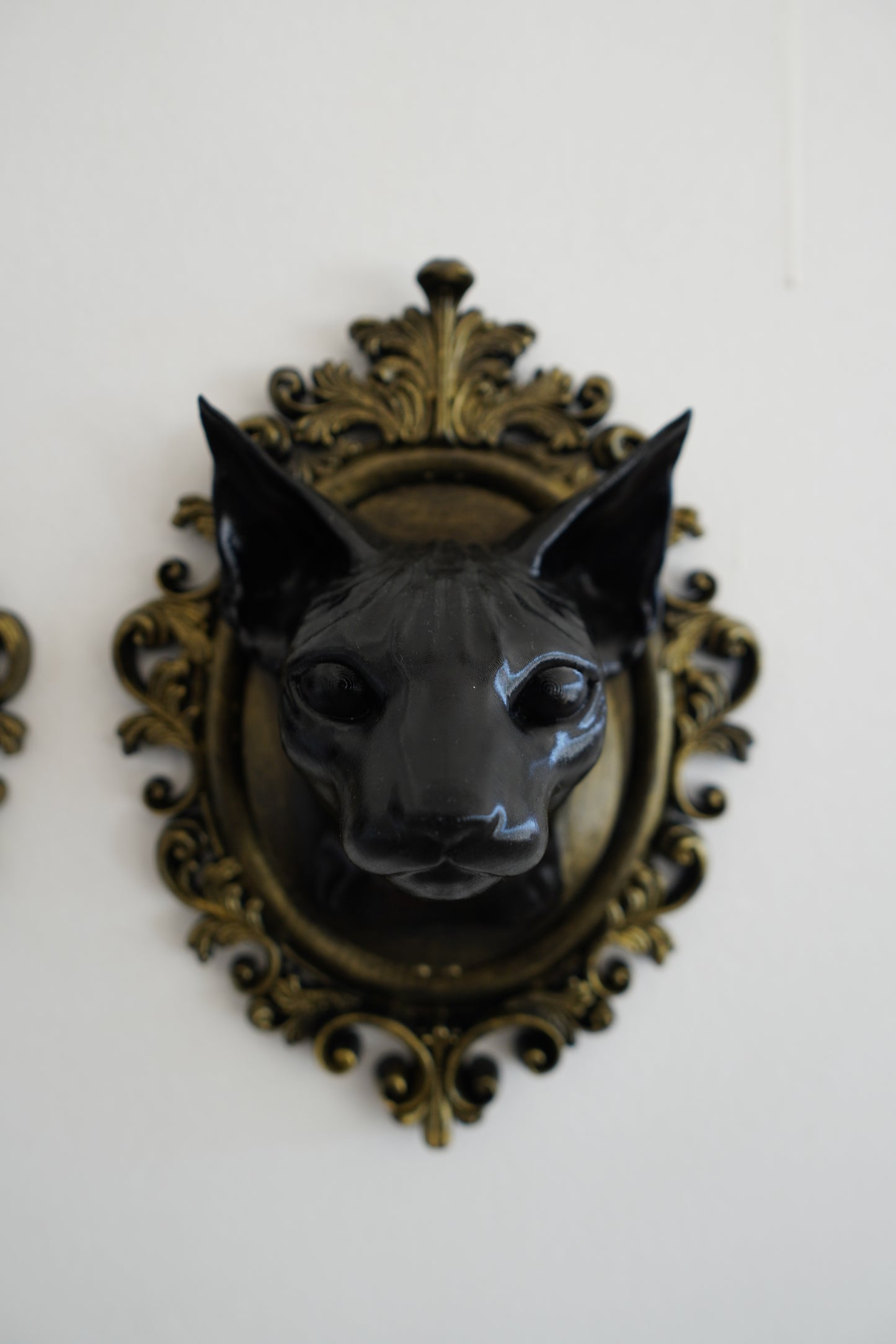 Sphynx cat frame